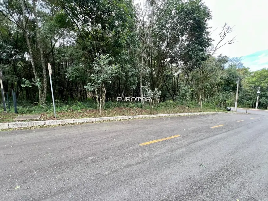 Terreno / Lote à venda, 2000m2 em Santo Antão, Bento Goncalves - RS - imagem 7 Foto 7 de Terreno / Lote à venda, 2000m2 em Santo Antão, Bento Goncalves - RS