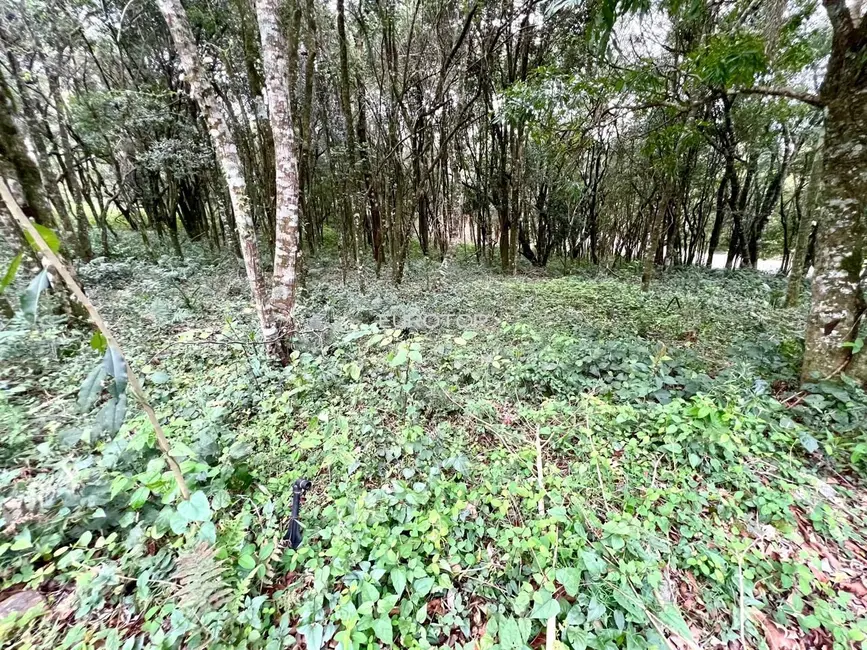 Terreno / Lote à venda, 2000m2 em Santo Antão, Bento Goncalves - RS - imagem 8 Foto 8 de Terreno / Lote à venda, 2000m2 em Santo Antão, Bento Goncalves - RS