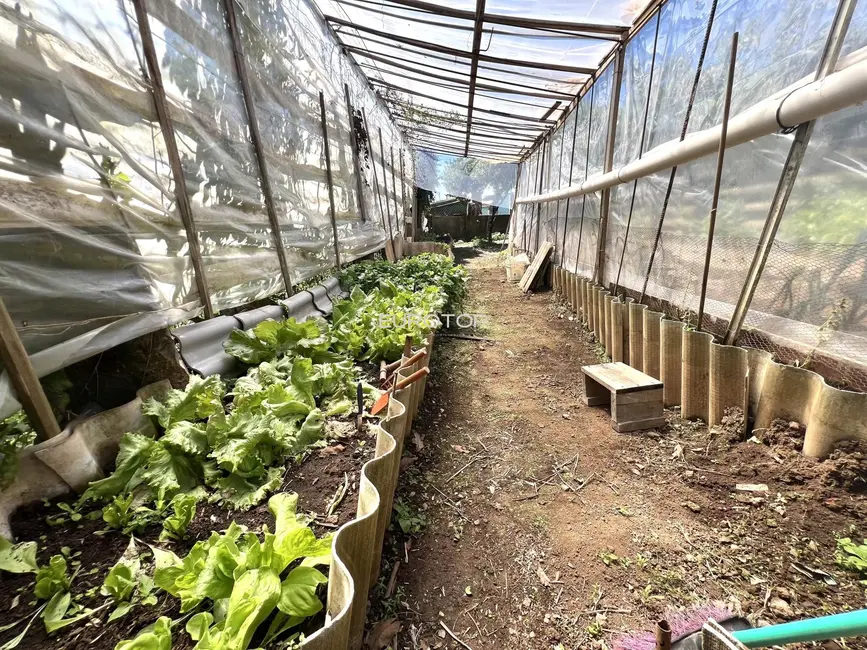 Foto 6 de Casa com 3 quartos à venda, 110m2 em Santa Marta, Bento Goncalves - RS