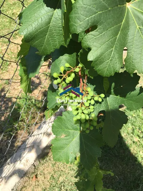 Casa à venda, 450m2 em Piracaia - SP - imagem 5 Foto 5 de Casa à venda, 450m2 em Piracaia - SP