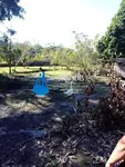 Imagem 10
