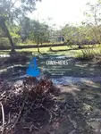 Imagem 6