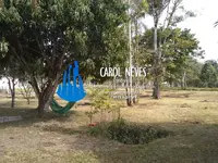 Imagem 12
