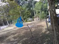 Imagem 6