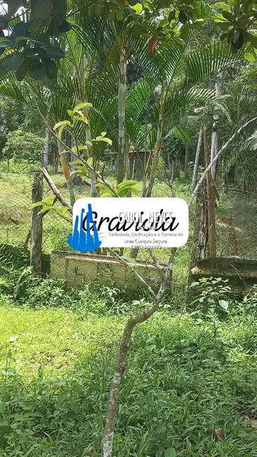 Terreno / Lote à venda em Itanhaem - SP - imagem 7 Foto 7 de Terreno / Lote à venda em Itanhaem - SP