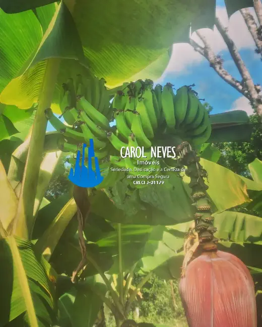 Foto 8 de Chácara com 3 quartos à venda, 1200m2 em Itanhaem - SP