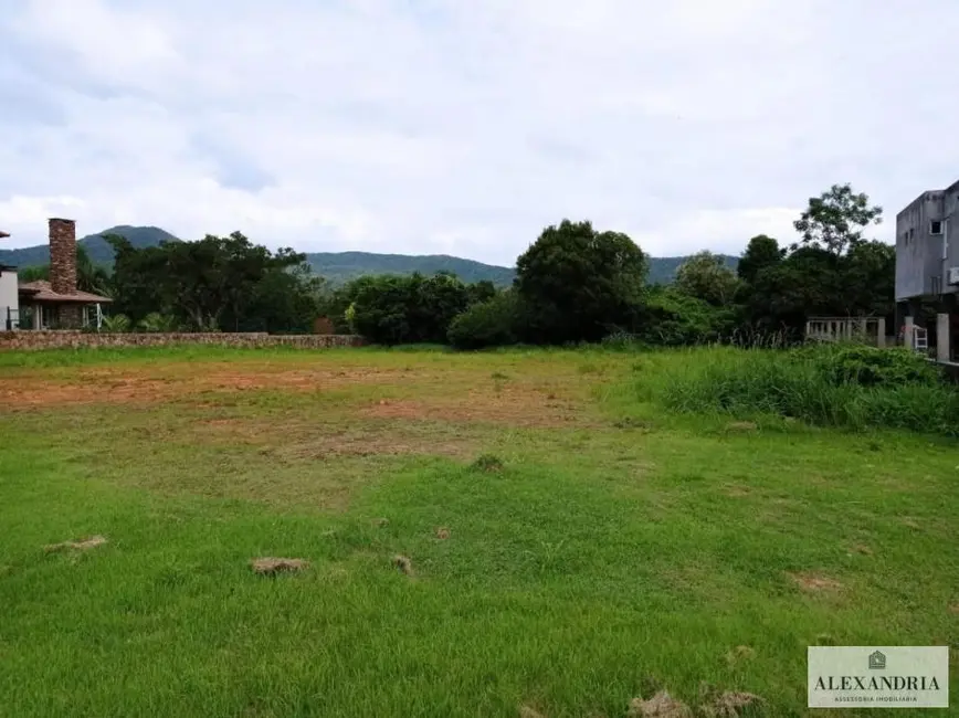 Foto 4 de Terreno / Lote à venda, 1562m2 em Ratones, Florianopolis - SC