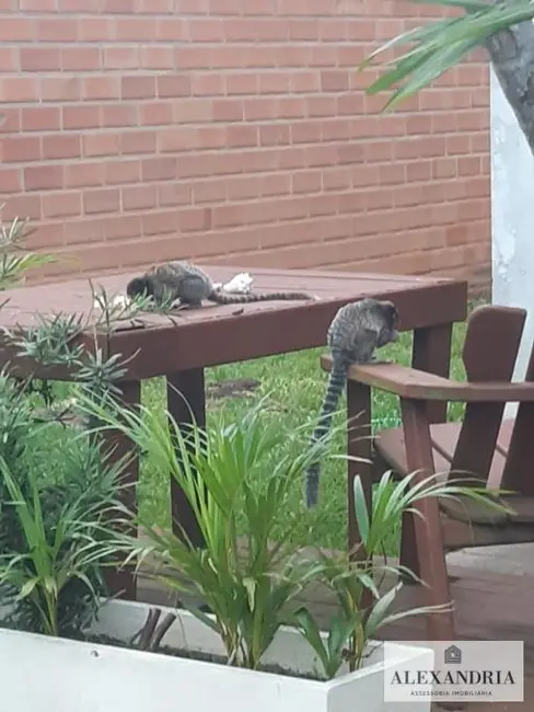 Foto 7 de Casa de Condomínio com 3 quartos à venda em Cachoeira do Bom Jesus, Florianopolis - SC