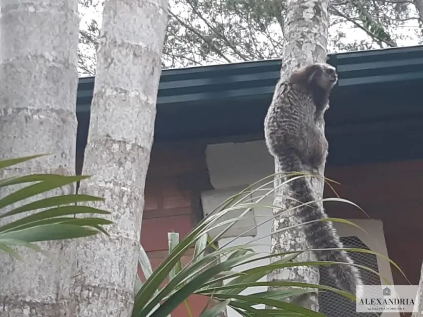 Foto 3 de Casa de Condomínio com 3 quartos à venda em Cachoeira do Bom Jesus, Florianopolis - SC