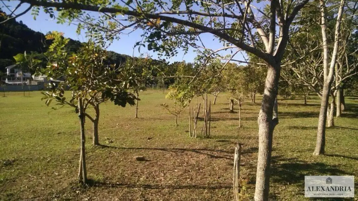 Terreno / Lote à venda, 379m2 em Canasvieiras, Florianopolis - SC - imagem 8 Foto 8 de Terreno / Lote à venda, 379m2 em Canasvieiras, Florianopolis - SC