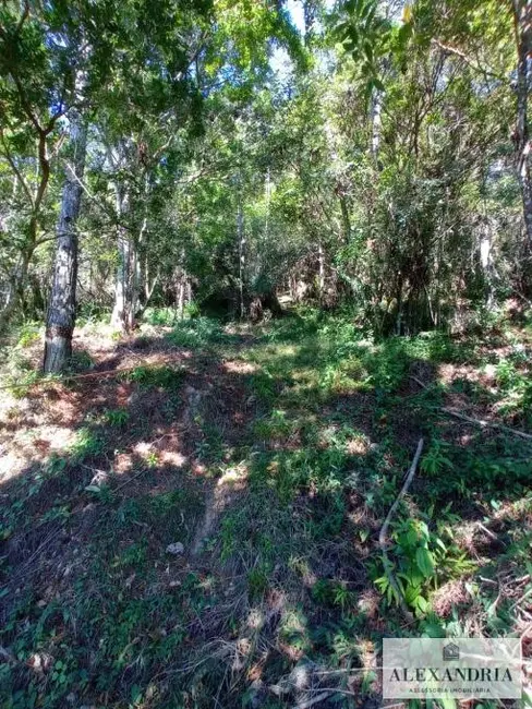 Terreno / Lote à venda, 1300m2 em Cacupé, Florianopolis - SC - imagem 9 Foto 9 de Terreno / Lote à venda, 1300m2 em Cacupé, Florianopolis - SC