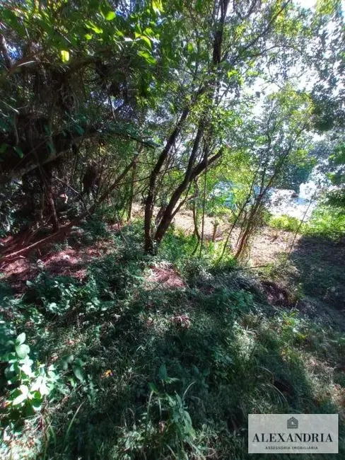 Terreno / Lote à venda, 1300m2 em Cacupé, Florianopolis - SC - imagem 3 Foto 3 de Terreno / Lote à venda, 1300m2 em Cacupé, Florianopolis - SC