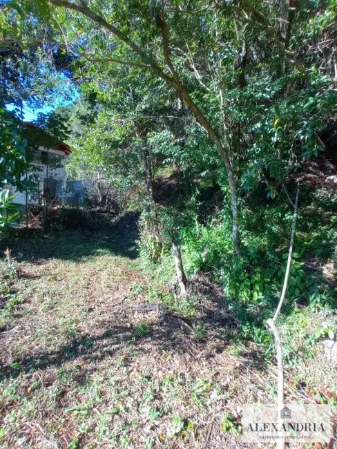 Terreno / Lote à venda, 1300m2 em Cacupé, Florianopolis - SC - imagem 7 Foto 7 de Terreno / Lote à venda, 1300m2 em Cacupé, Florianopolis - SC