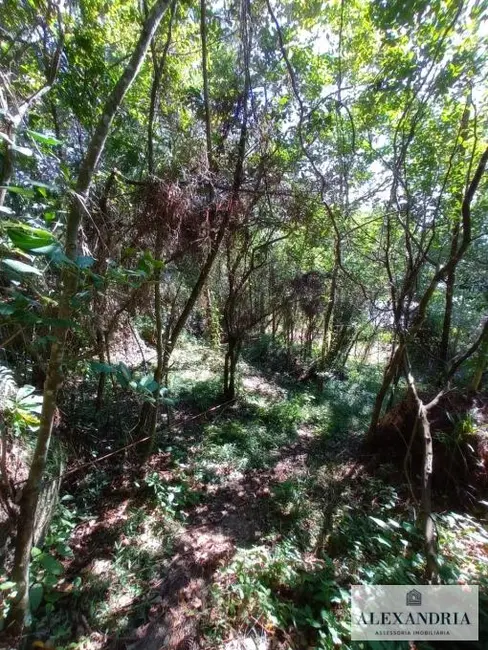Terreno / Lote à venda, 1300m2 em Cacupé, Florianopolis - SC - imagem 5 Foto 5 de Terreno / Lote à venda, 1300m2 em Cacupé, Florianopolis - SC
