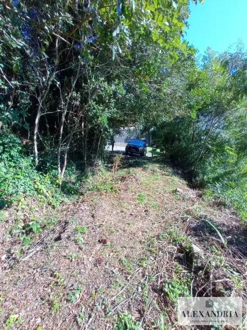 Terreno / Lote à venda, 1300m2 em Cacupé, Florianopolis - SC - imagem 6 Foto 6 de Terreno / Lote à venda, 1300m2 em Cacupé, Florianopolis - SC