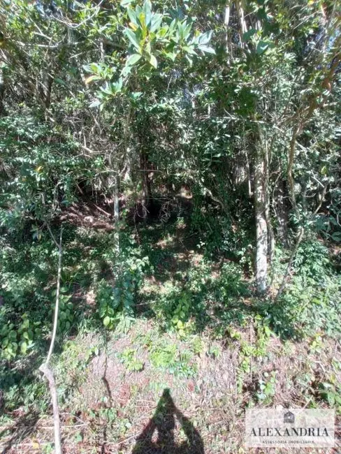 Terreno / Lote à venda, 1300m2 em Cacupé, Florianopolis - SC - imagem 4 Foto 4 de Terreno / Lote à venda, 1300m2 em Cacupé, Florianopolis - SC