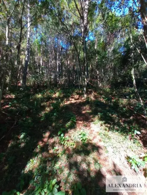 Foto 2 de Terreno / Lote à venda, 1300m2 em Cacupé, Florianopolis - SC