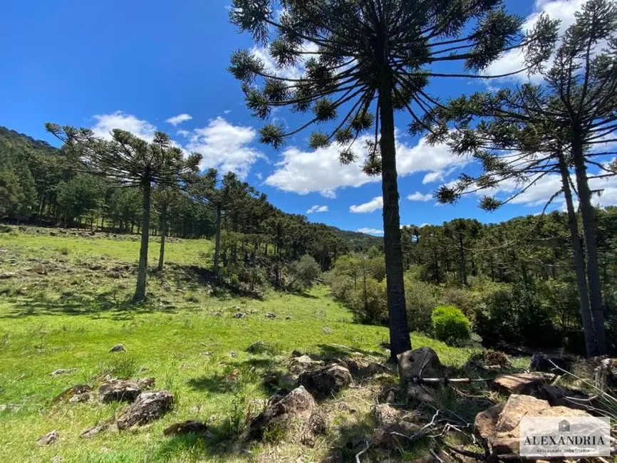 Foto 8 de Fazenda / Haras à venda, 11200m2 em Urubici - SC