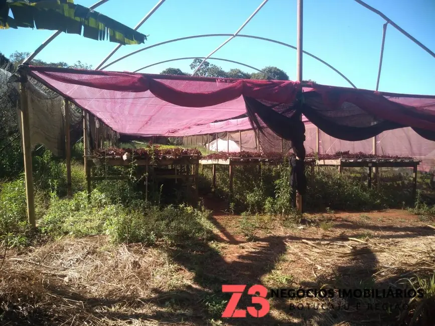 Foto 6 de Chácara com 1 quarto à venda, 20000m2 em Centro, Botucatu - SP