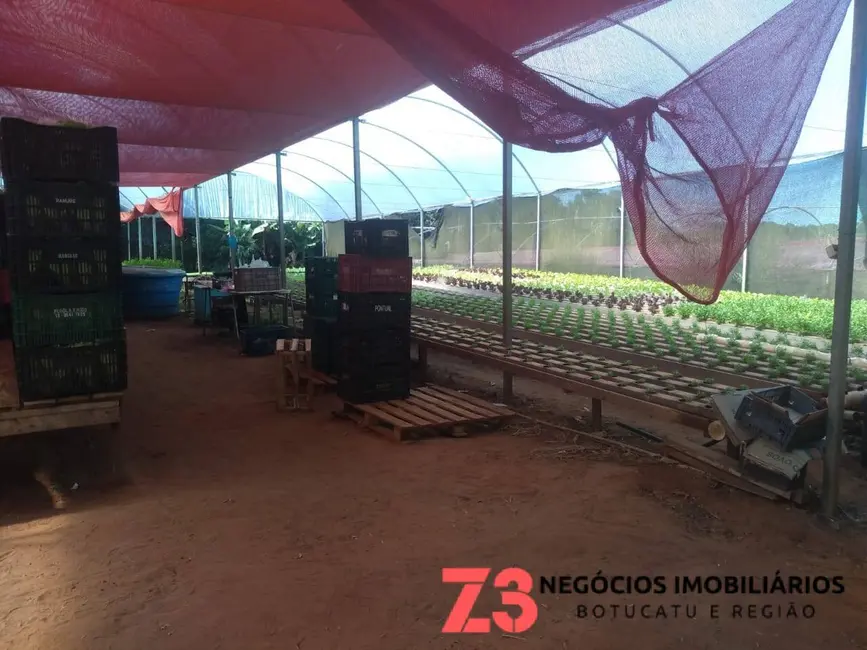 Foto 3 de Chácara com 1 quarto à venda, 20000m2 em Centro, Botucatu - SP