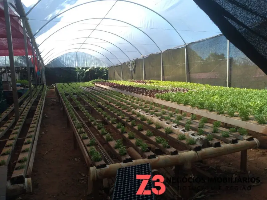 Foto 4 de Chácara com 1 quarto à venda, 20000m2 em Centro, Botucatu - SP