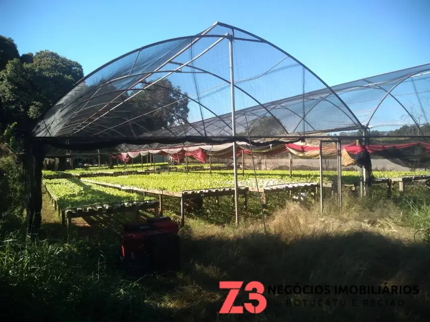 Foto 9 de Chácara com 1 quarto à venda, 20000m2 em Centro, Botucatu - SP