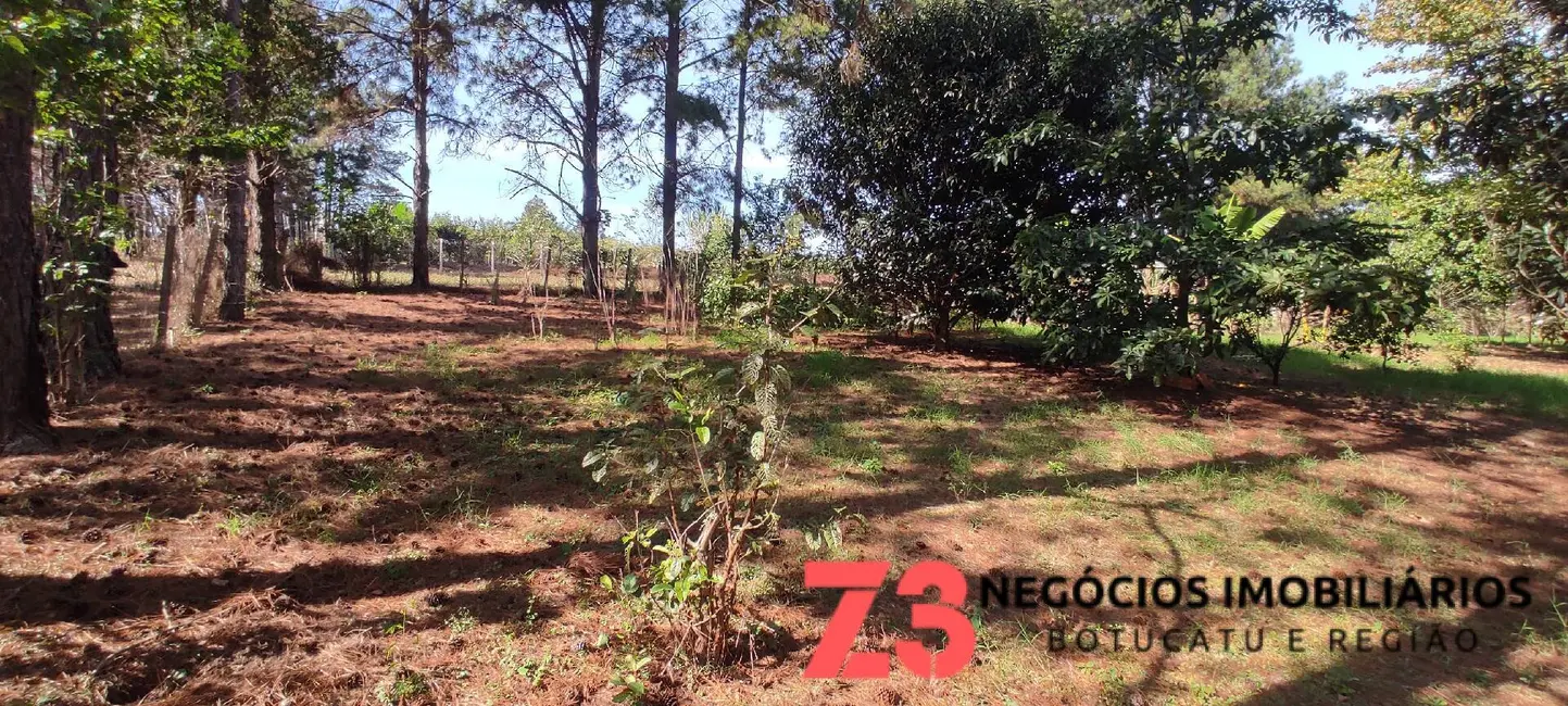 Foto 4 de Chácara com 4 quartos à venda, 5040m2 em Centro, Botucatu - SP