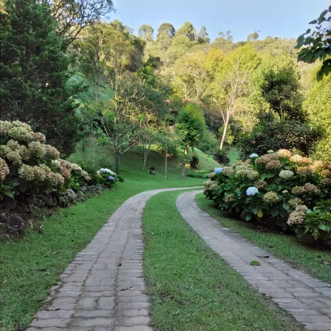 Foto 5 de Chácara com 5 quartos à venda, 20480m2 em Santo Antonio Do Pinhal - SP
