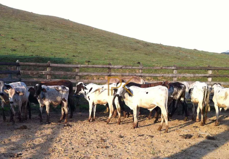 Foto 1 de Fazenda / Haras com 2 quartos à venda, 2541000m2 em Silveiras - SP