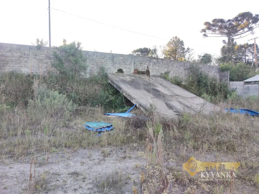 Foto 6 de Terreno / Lote à venda, 600m2 em Mallet - PR