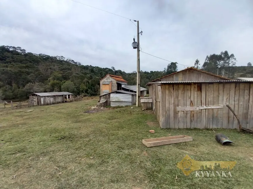 Foto 8 de Chácara à venda em Mallet - PR