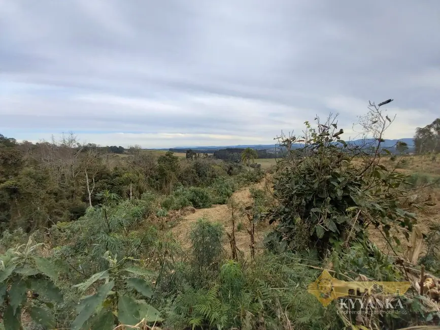 Foto 9 de Chácara à venda em Mallet - PR