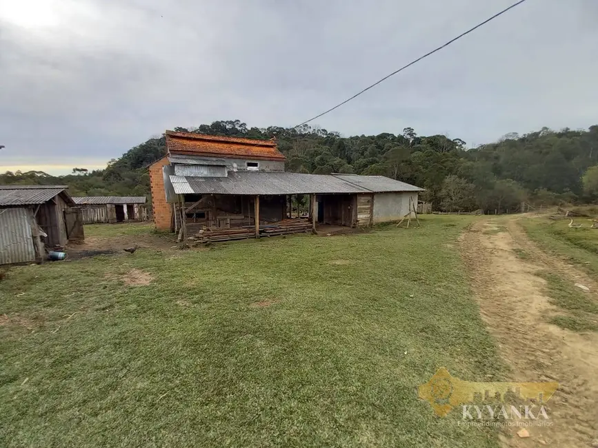 Foto 5 de Chácara à venda em Mallet - PR