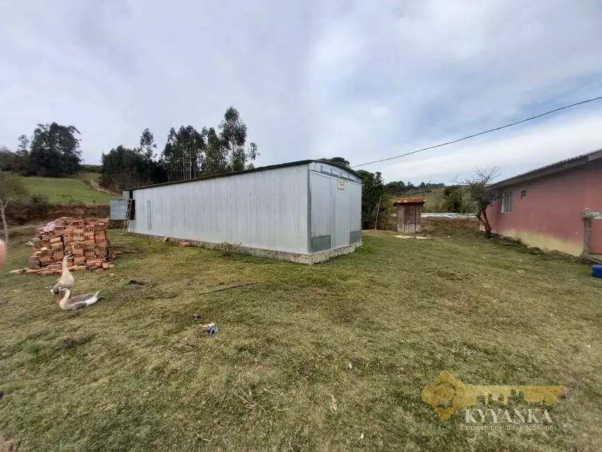 Foto 3 de Chácara à venda em Mallet - PR