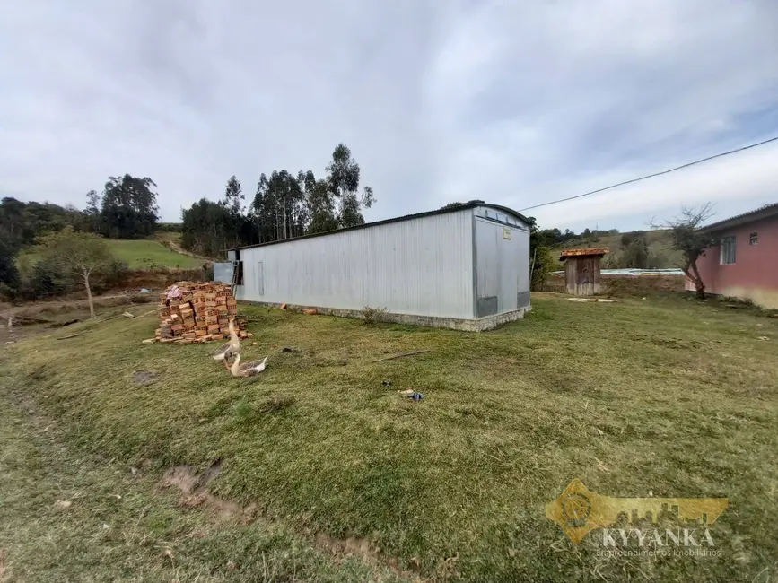 Foto 13 de Chácara à venda em Mallet - PR