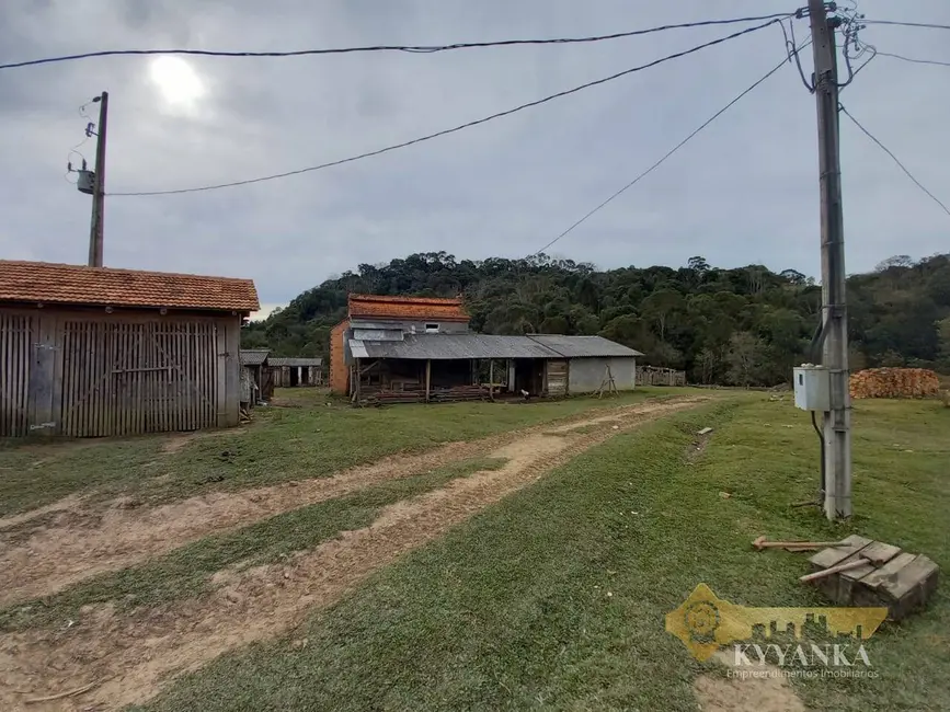 Foto 10 de Chácara à venda em Mallet - PR