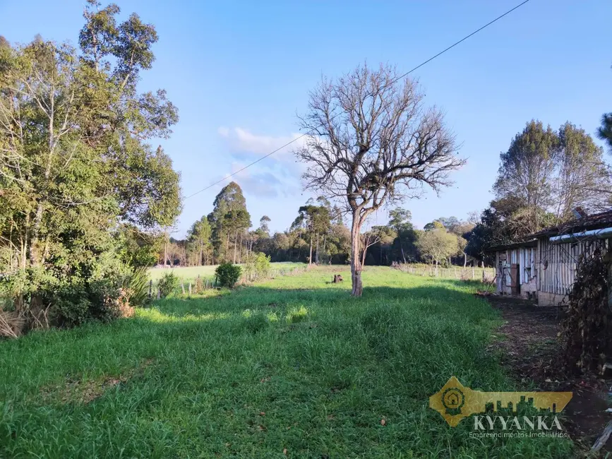 Foto 4 de Terreno / Lote à venda, 4000m2 em Mallet - PR