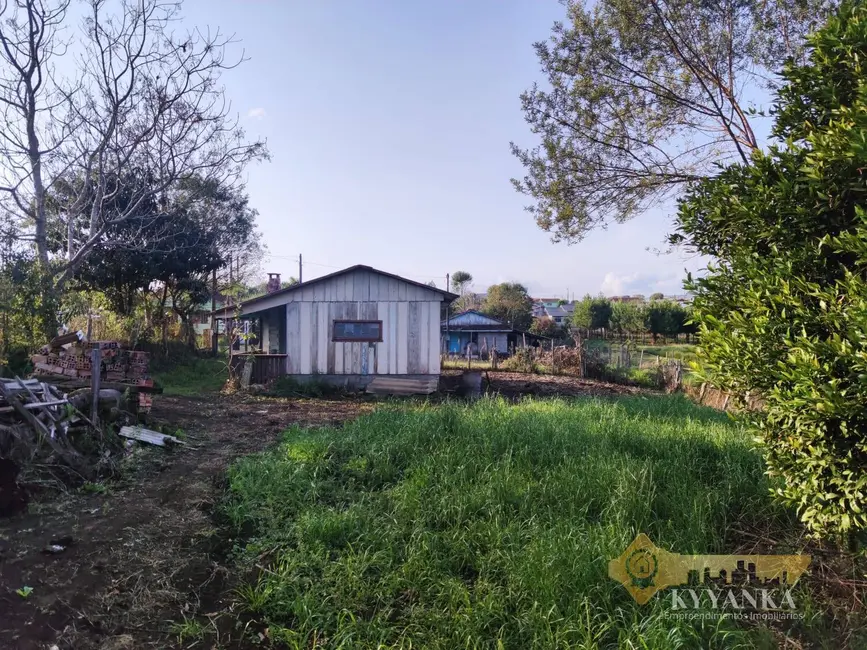 Foto 5 de Terreno / Lote à venda, 4000m2 em Mallet - PR