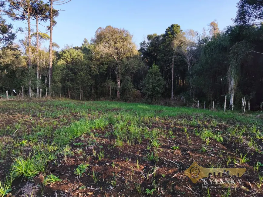 Foto 3 de Terreno / Lote à venda, 4000m2 em Mallet - PR