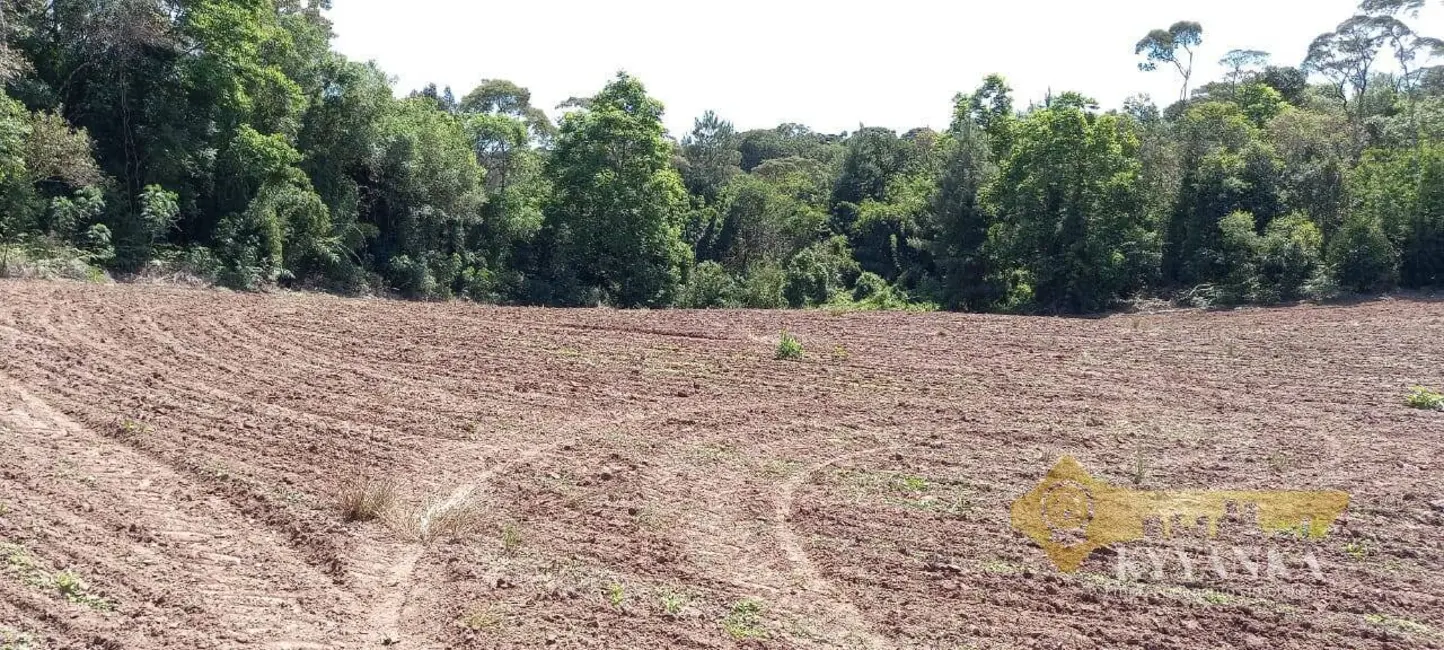 Foto 3 de Chácara com 2 quartos à venda, 71580m2 em Mallet - PR