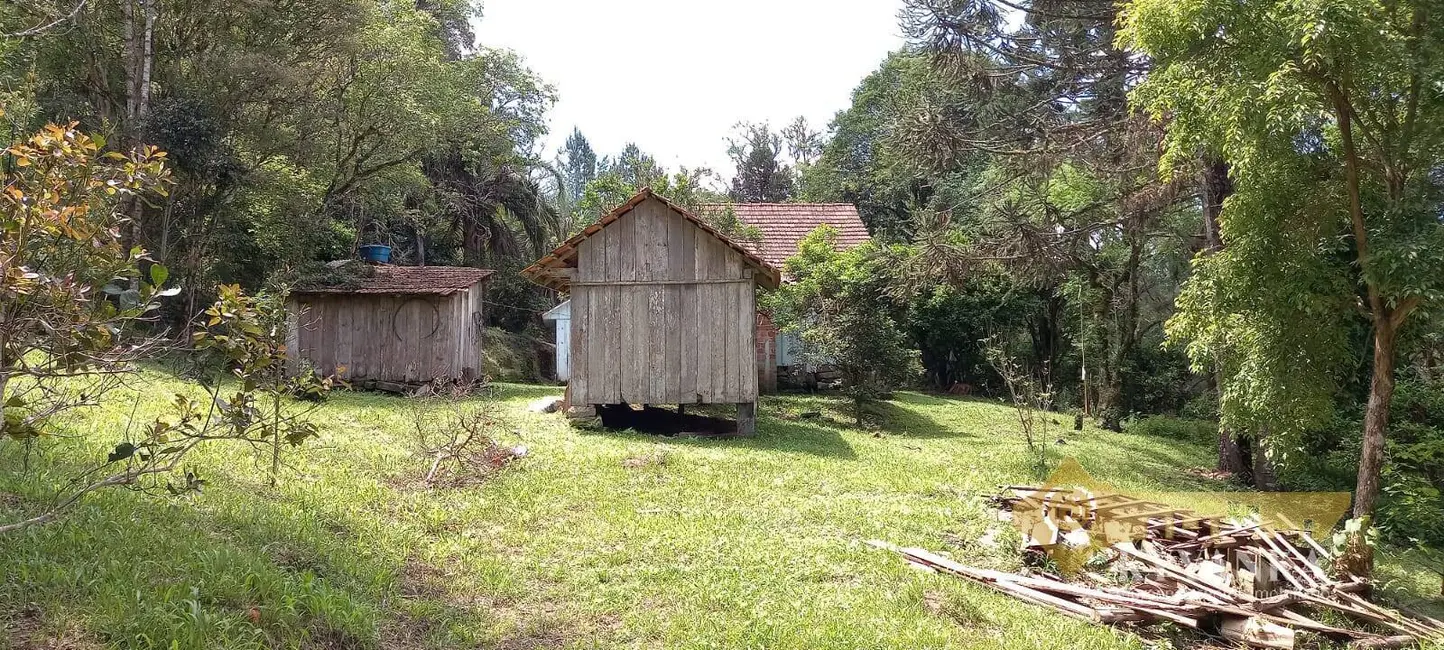 Foto 8 de Chácara com 2 quartos à venda, 71580m2 em Mallet - PR