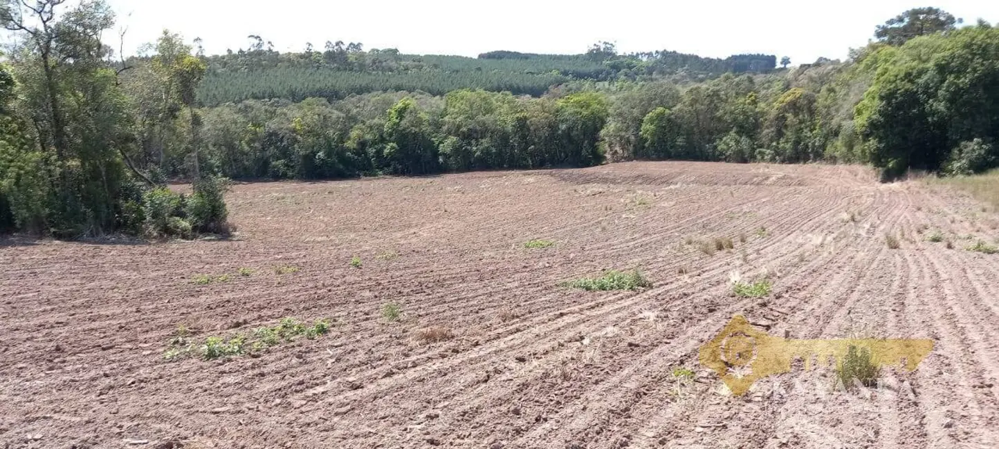 Foto 4 de Chácara com 2 quartos à venda, 71580m2 em Mallet - PR