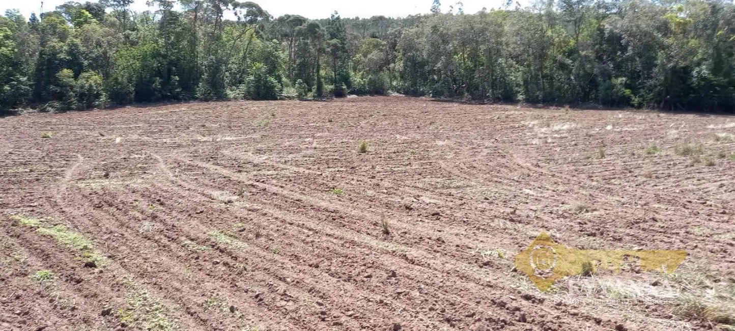 Foto 2 de Chácara com 2 quartos à venda, 71580m2 em Mallet - PR