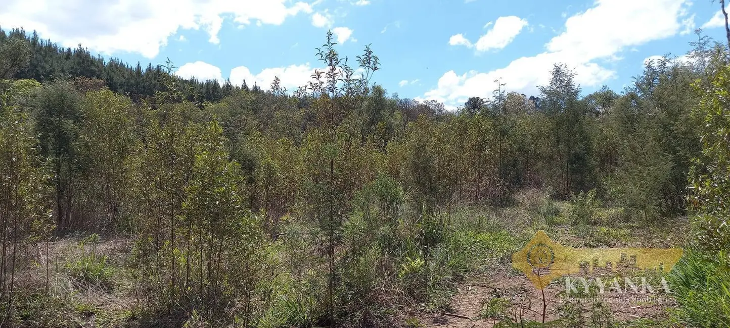 Foto 9 de Chácara com 2 quartos à venda, 71580m2 em Mallet - PR