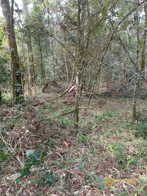 Foto 12 de Chácara à venda, 121000m2 em Mallet - PR