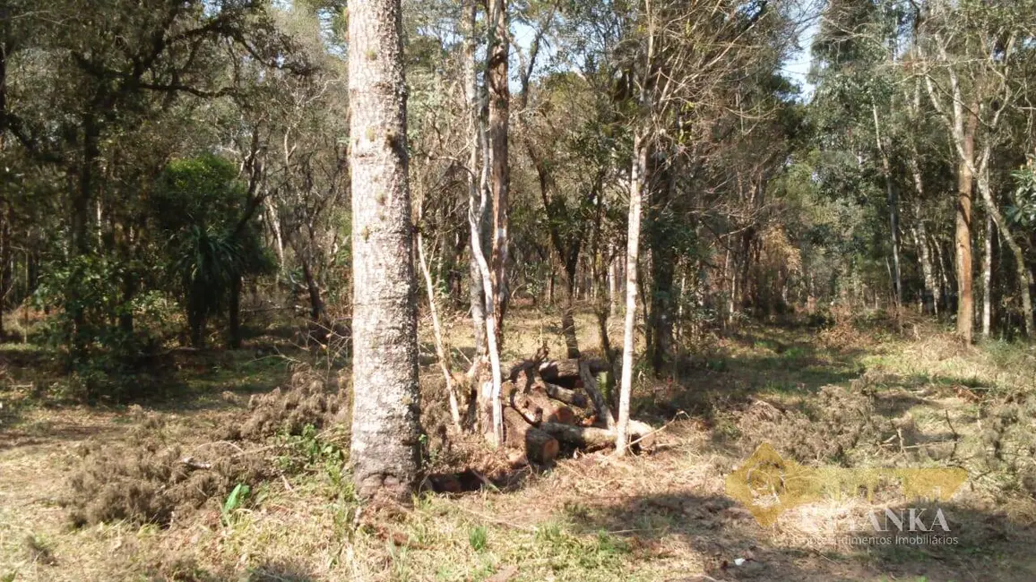 Foto 3 de Chácara à venda, 121000m2 em Mallet - PR