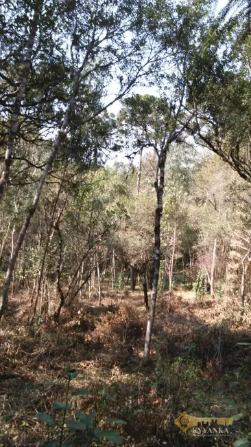 Foto 5 de Chácara à venda, 121000m2 em Mallet - PR