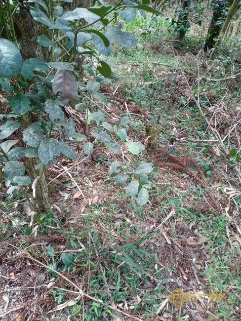 Foto 13 de Chácara à venda, 121000m2 em Mallet - PR