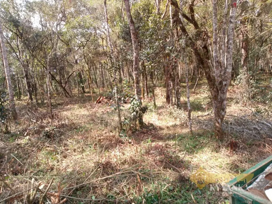 Foto 9 de Chácara à venda, 121000m2 em Mallet - PR