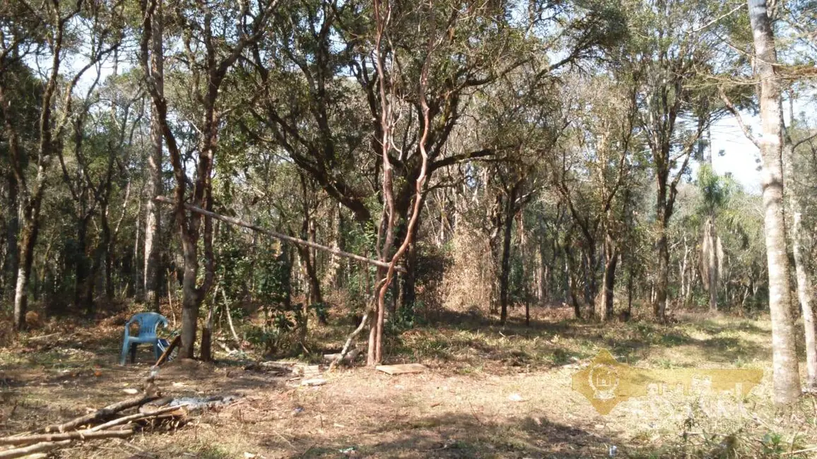 Foto 4 de Chácara à venda, 121000m2 em Mallet - PR